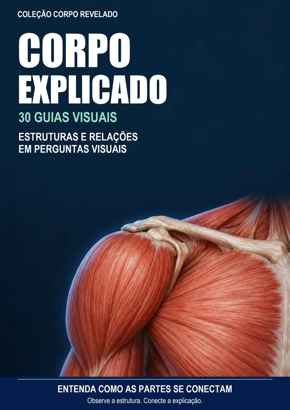 Capa Corpo Explicado — 30 guias visuais
