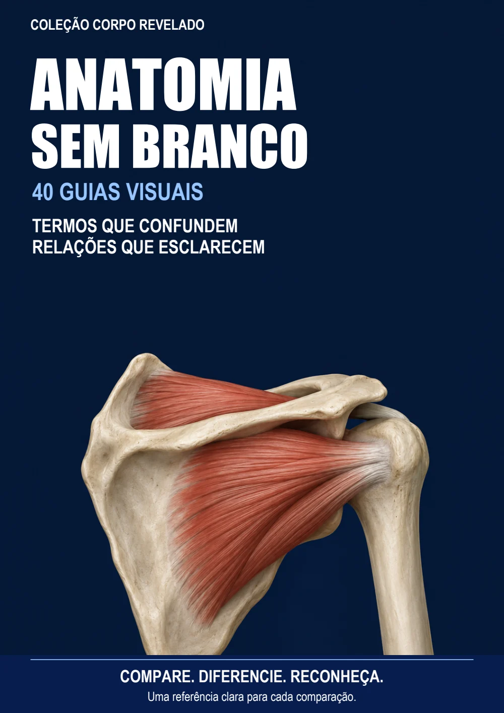 Capa Anatomia sem Branco — 40 guias visuais