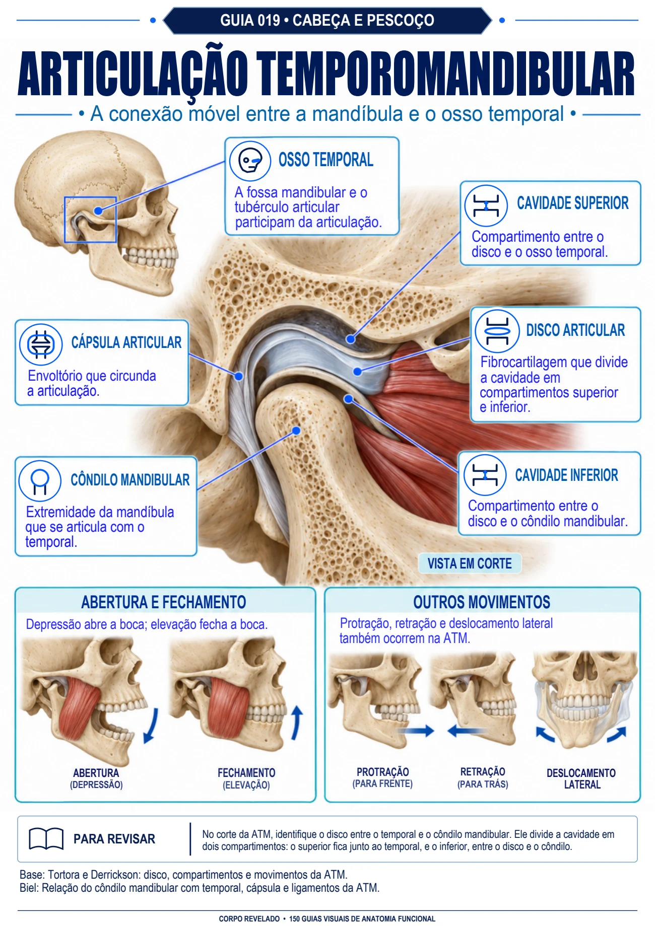 Guia real da articulação temporomandibular